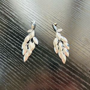Stainless Steel Earrings